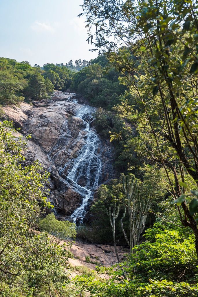 Check out this article from 'Culture Trip'.jpg